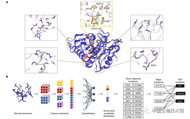 6369f9683b922.jpg 4.jpg