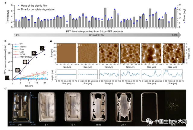 6369f9fc81afc.jpg 6.jpg