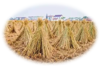 636b47afafa84.png 圖片1.png