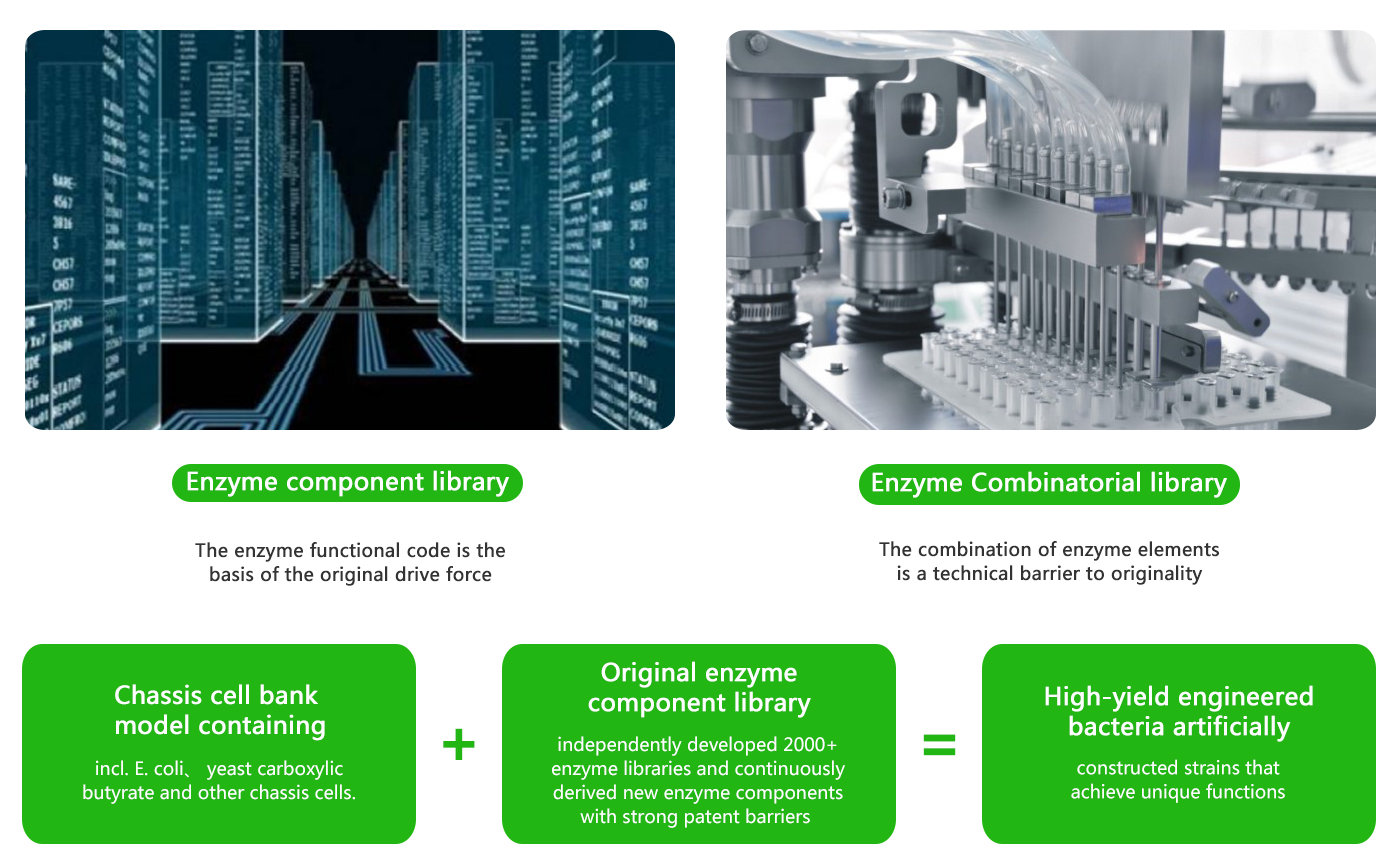 技術(shù) 英文 2.jpg