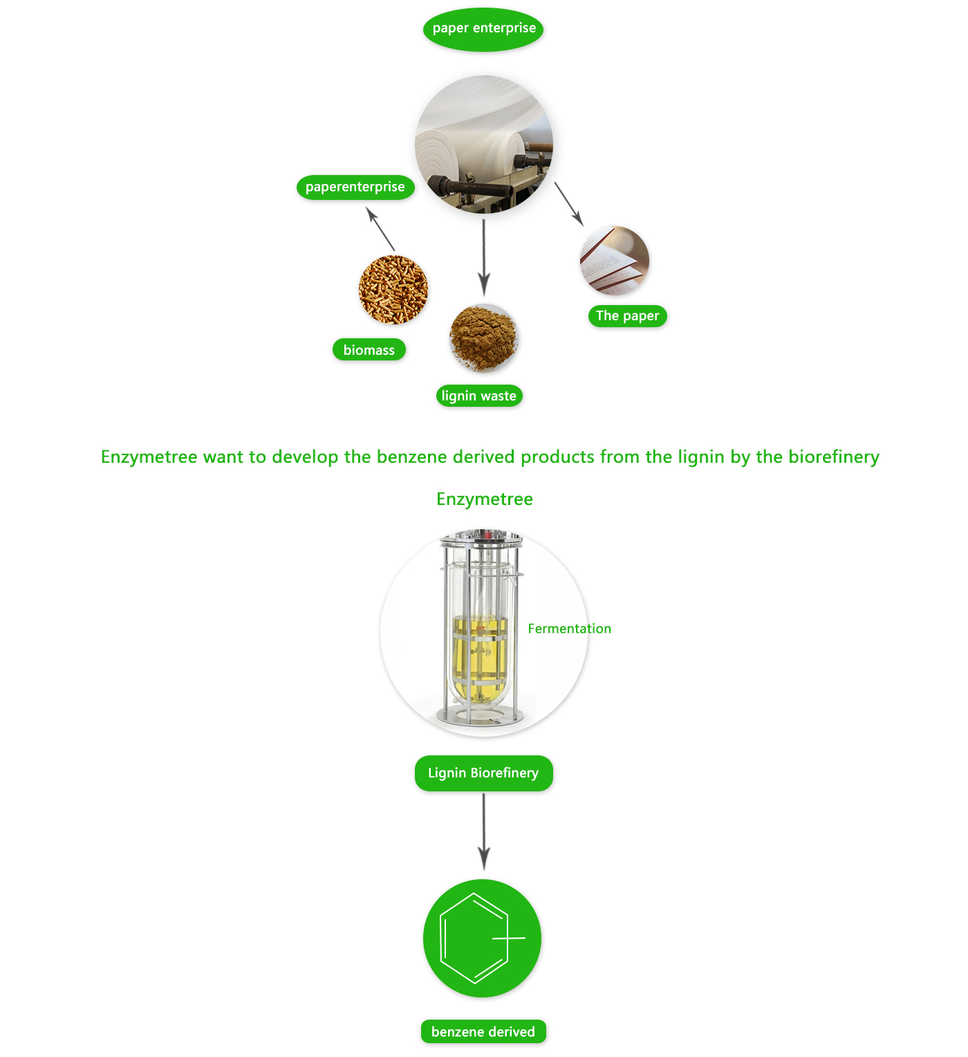 技術(shù) 英文 4.jpg