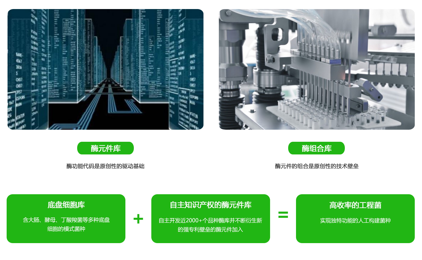 637c27f5d453c.jpg 技術(shù)2.jpg